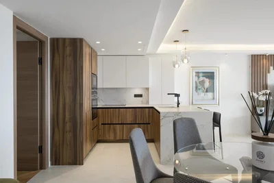 Кухиња; кухињски апарати, модерни стил, природно светло, реновиран