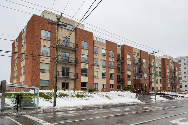 House and surroundings; view