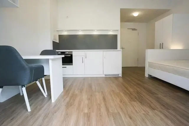 Mutfak; modern stil, tadilatlı, ahşap zemin, doğal ışık