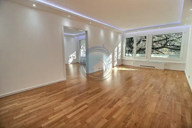 Salon; parquet, lumière naturelle, rénové