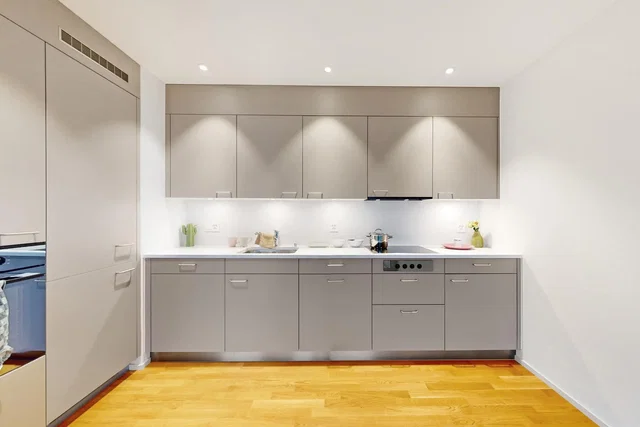 Kitchen; kitchen appliances, wood floor, renovated, natural light, modern style