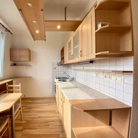 Kitchen; kitchen appliances, wood floor, natural light, modern style