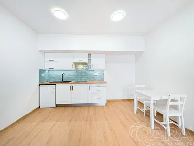 Kuhinja; kuhinjski aparati, moderni stil, prirodno svjetlo, renoviran