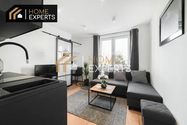 Living room; view, modern style, natural light