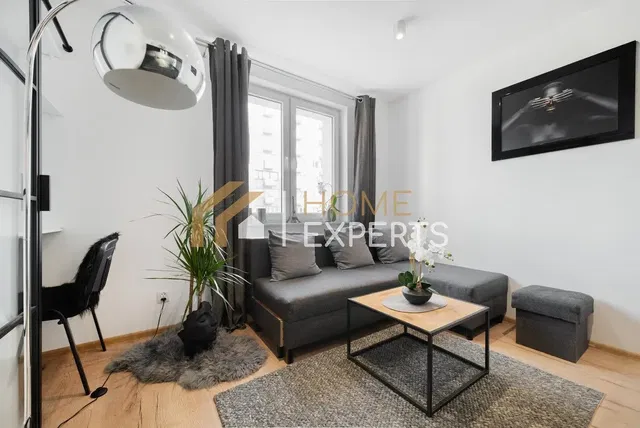 Living room; natural light, modern style, wood floor