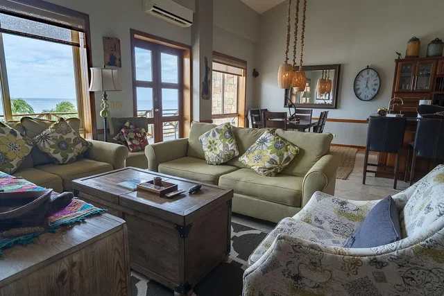 Living room; view, natural light, rustic style