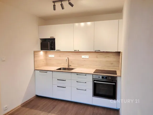 Kuhinja; kućanski aparati, renoviran, prirodna svjetlost, moderan stil