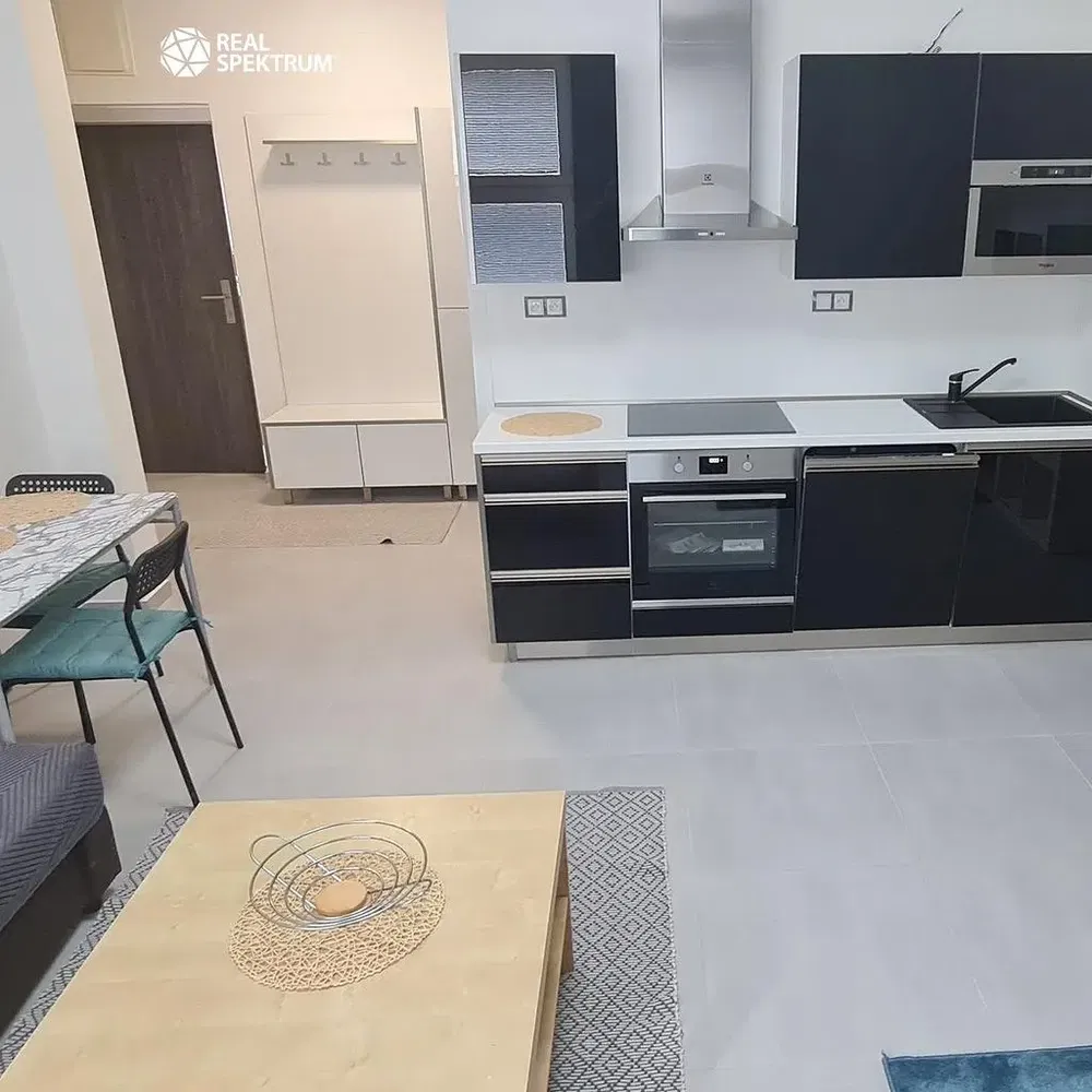 Kuhinja; kućanski aparati, moderan stil