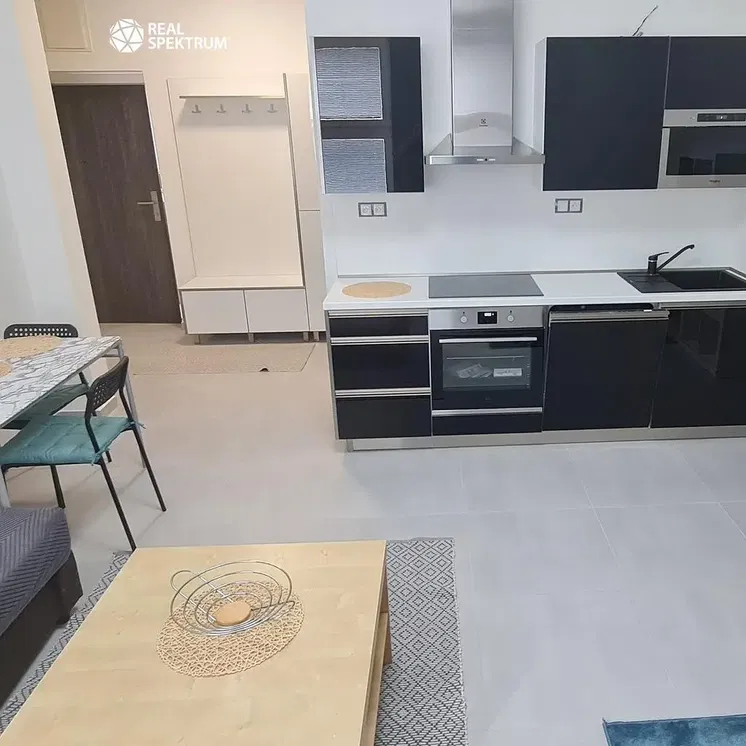 Kuhinja; kućanski aparati, moderan stil