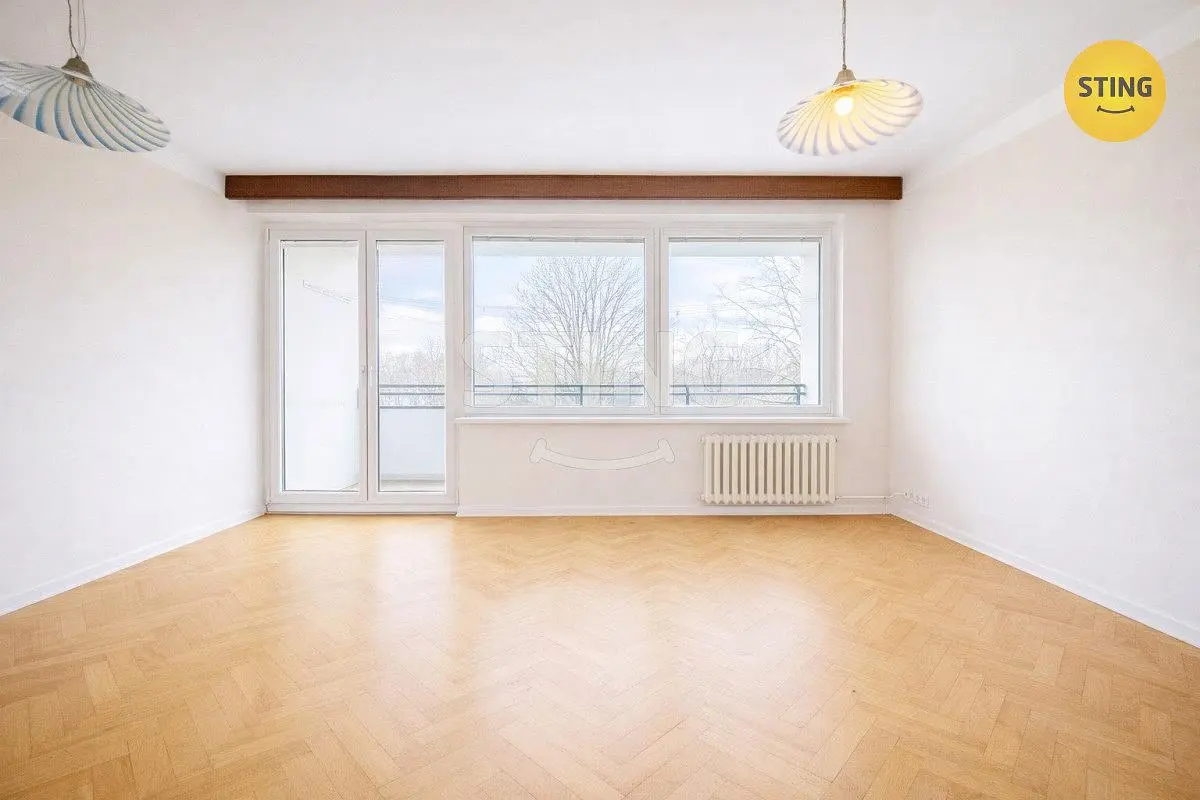 Salon; vue, parquet, lumière naturelle