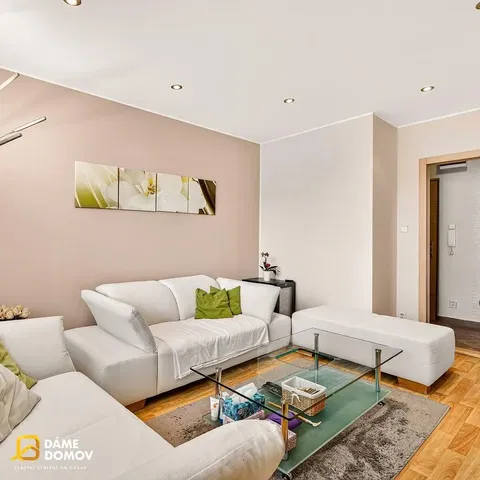 Living room; natural light, modern style