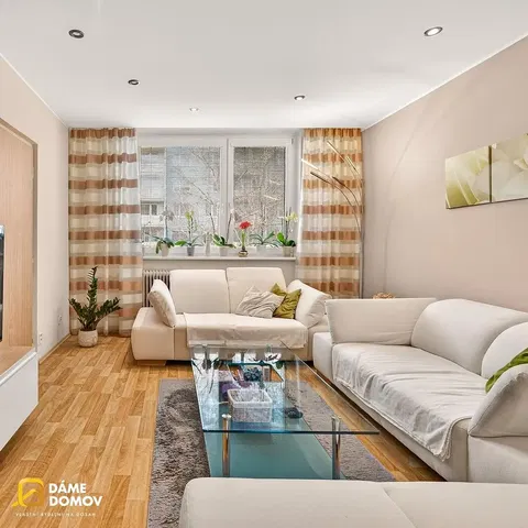Living room; natural light, modern style, wood floor