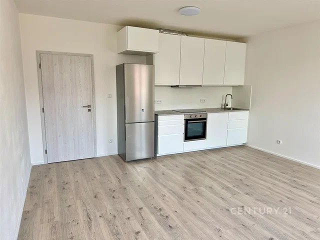 Küche; küchengeräte, renoviert, tageslicht, moderner stil