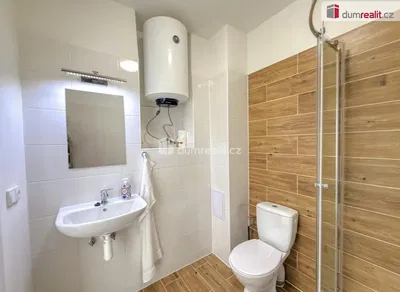 Badezimmer; warmwasserbereiter, fliesenboden, renoviert, tageslicht, moderner stil