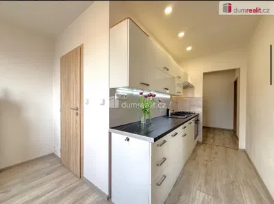 Kuhinja; kuhinjski aparati, prirodno svjetlo, moderni stil