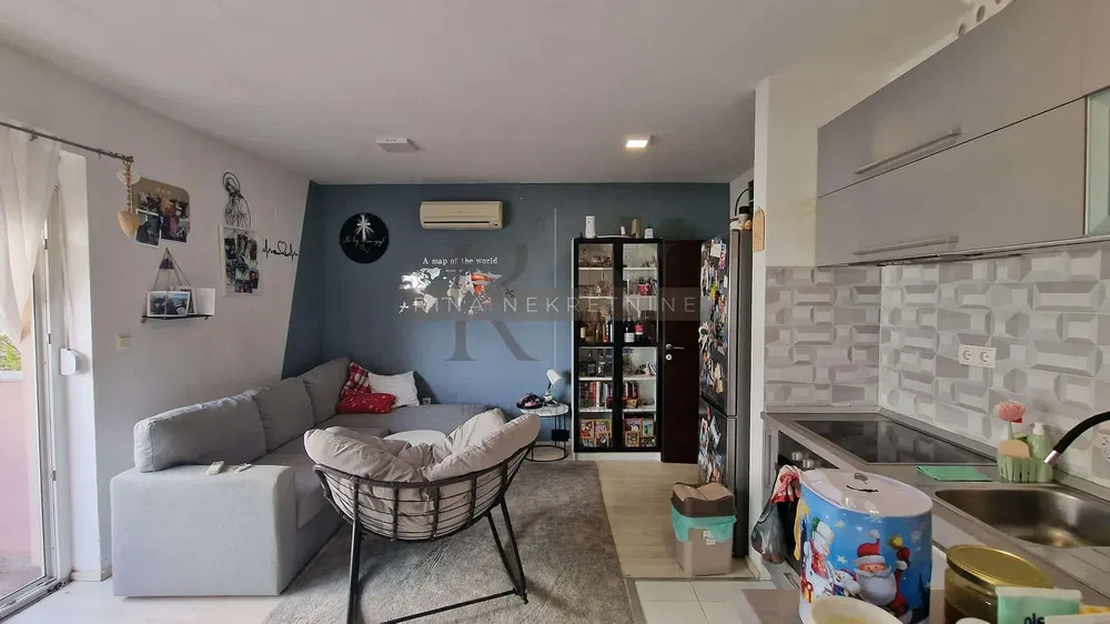 Хол; гледка