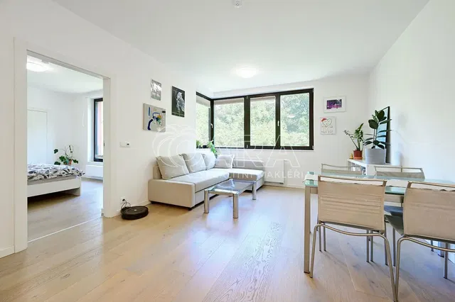 Salon; vue, parquet, lumière naturelle, style moderne