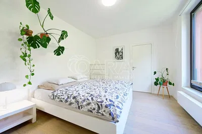 Chambre; lumière naturelle, parquet, style moderne