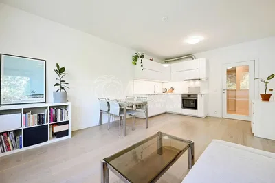 Salon; lumière naturelle, style moderne, parquet