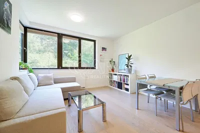 Salon; vue, lumière naturelle