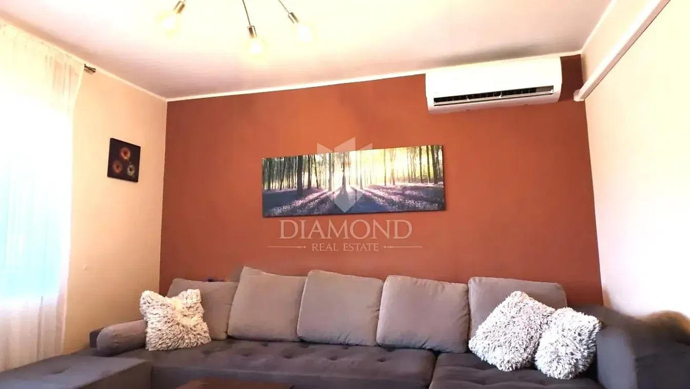 Salon; lumière naturelle, style moderne