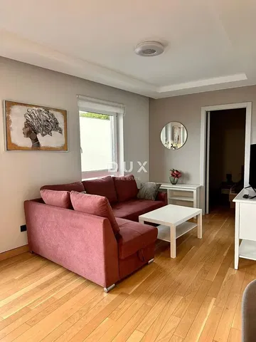 Living room; wood floor, natural light, modern style