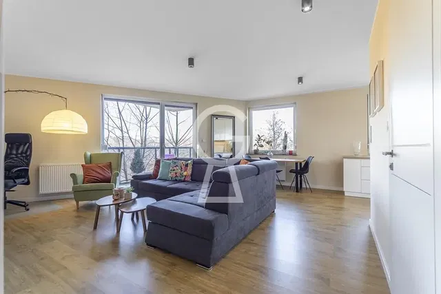 Living room; natural light, wood floor, modern style