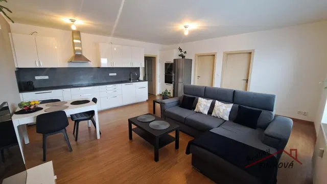 Salon; électroménager, lumière naturelle, style moderne