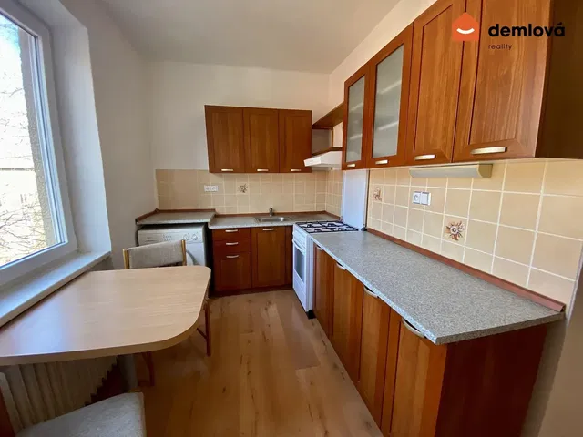 Kuchyně; kuchyňské spotřebiče, přirozené světlo, moderní styl