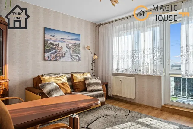 Living room; natural light, modern style, wood floor