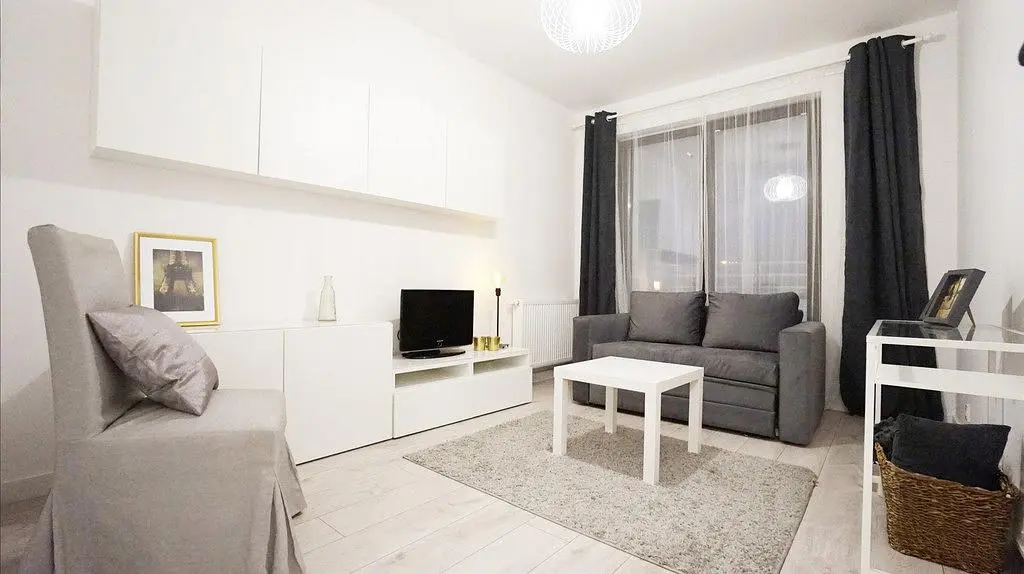 Salon; lumière naturelle, style moderne