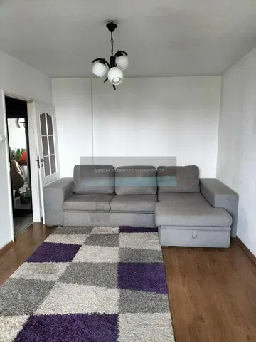 Salon; lumière naturelle, style moderne