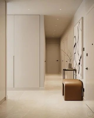 Vestiyer; modern stil, fayans zemin, doğal ışık