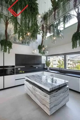 Кухиња; кухињски апарати, природно светло, модерни стил