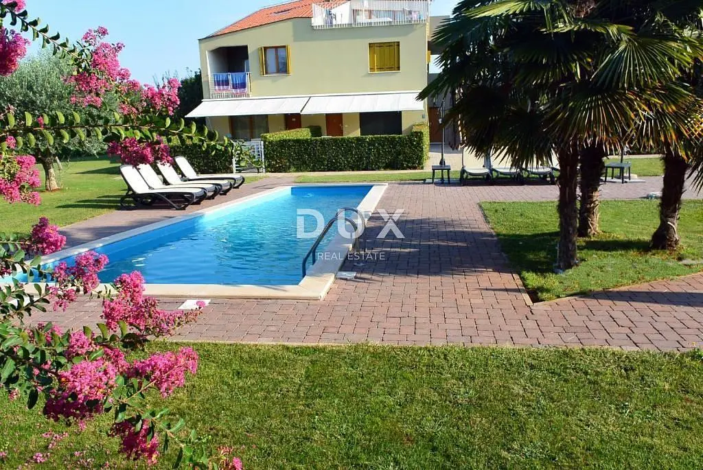 Casa e arredores; vista, luz natural