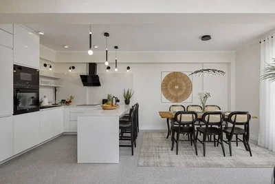 Kuchyně; kuchyňské spotřebiče, přirozené světlo, moderní styl