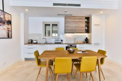 Kuchyně; kuchyňské spotřebiče, přirozené světlo, moderní styl, dlažba, po rekonstrukci