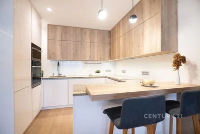 Keuken; keukenapparatuur, gerenoveerd, natuurlijk licht, moderne stijl