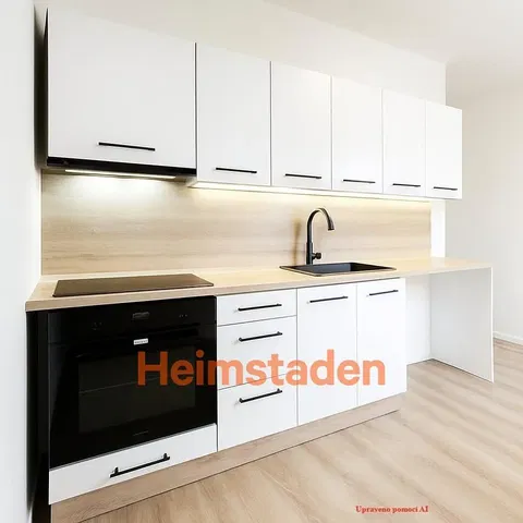 Kitchen; kitchen appliances, renovated, modern style