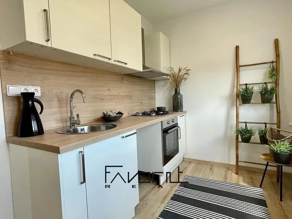 Keuken; keukenapparatuur, natuurlijk licht, moderne stijl, gerenoveerd