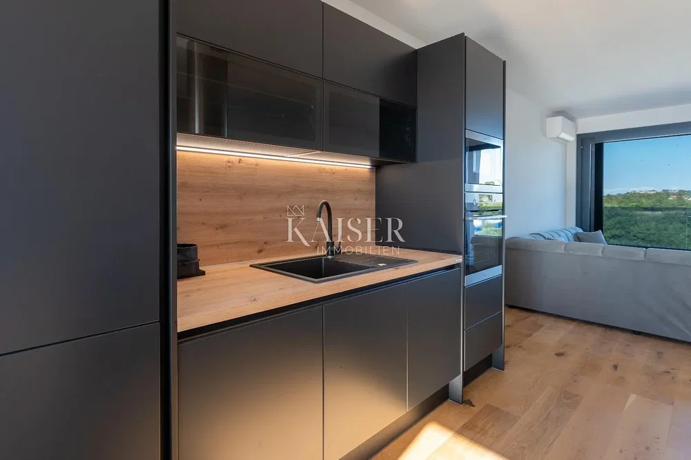 Cuisine; électroménager, vue, parquet, lumière naturelle, style moderne