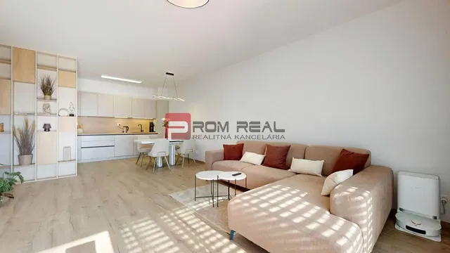 Salón; luz natural, estilo moderno