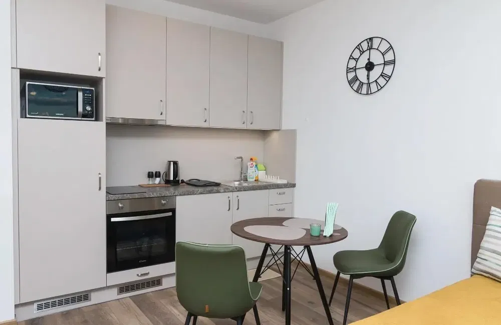 Kuhinja; kuhinjski aparati, prirodno svjetlo, moderni stil