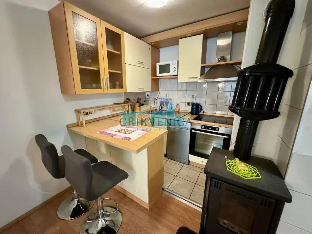 Kuhinja; kuhinjski aparati, drveni pod, renoviran, prirodno svjetlo, moderni stil