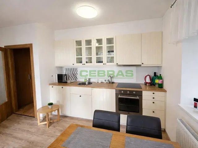 Kitchen; kitchen appliances, modern style