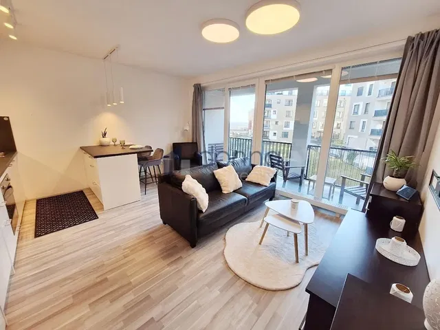 Wohnzimmer; blick, tageslicht
