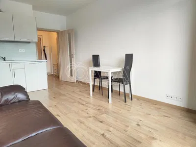 Wohnzimmer; holzboden, tageslicht