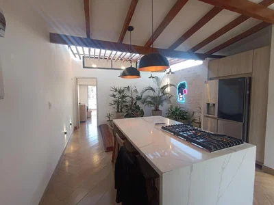 Cuisine; électroménager, lumière naturelle, style moderne