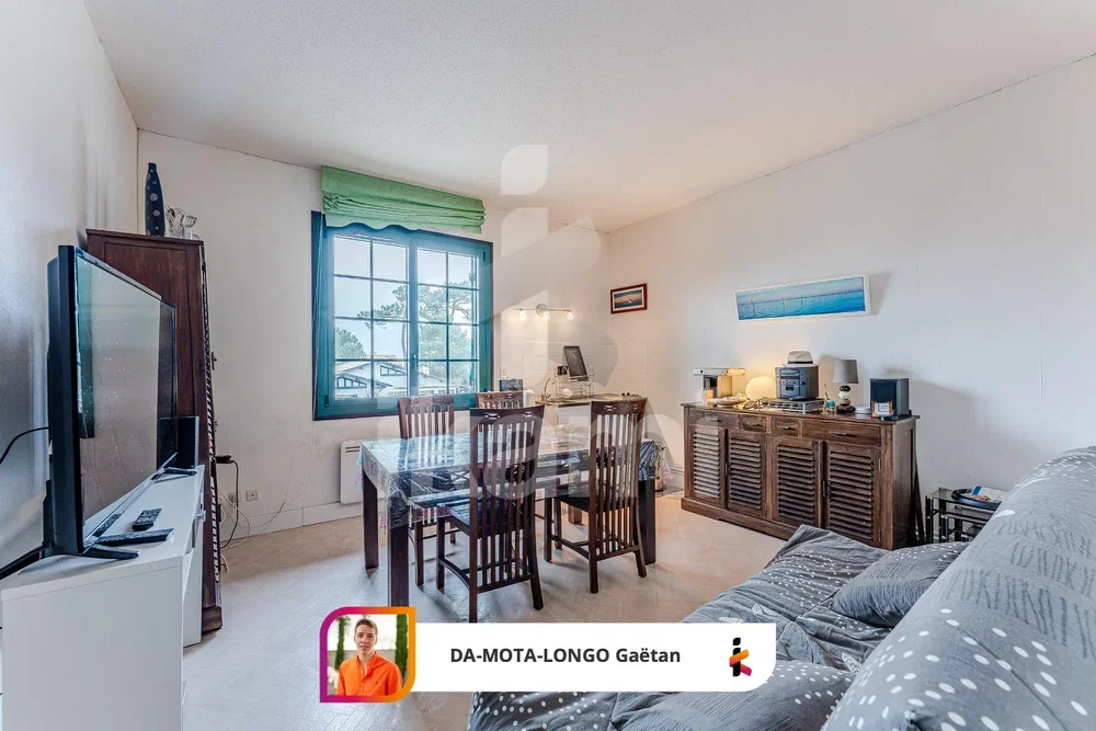 Living room; natural light, modern style