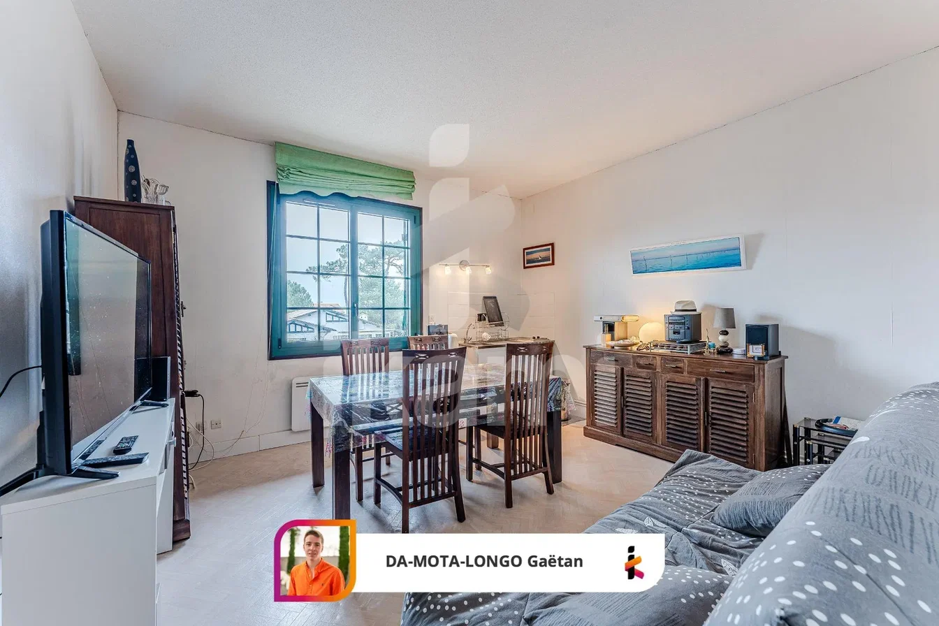 Living room; natural light, modern style